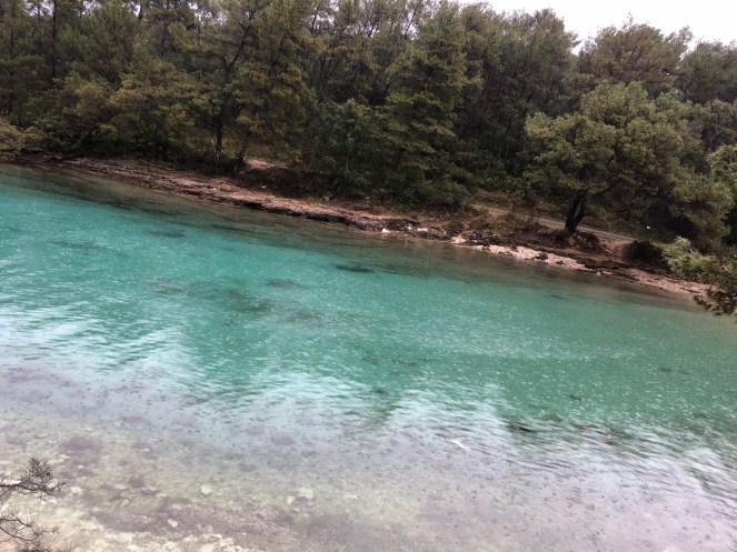 59DD1A29-6F37-4E13-977F-E9A2CC2D05B6